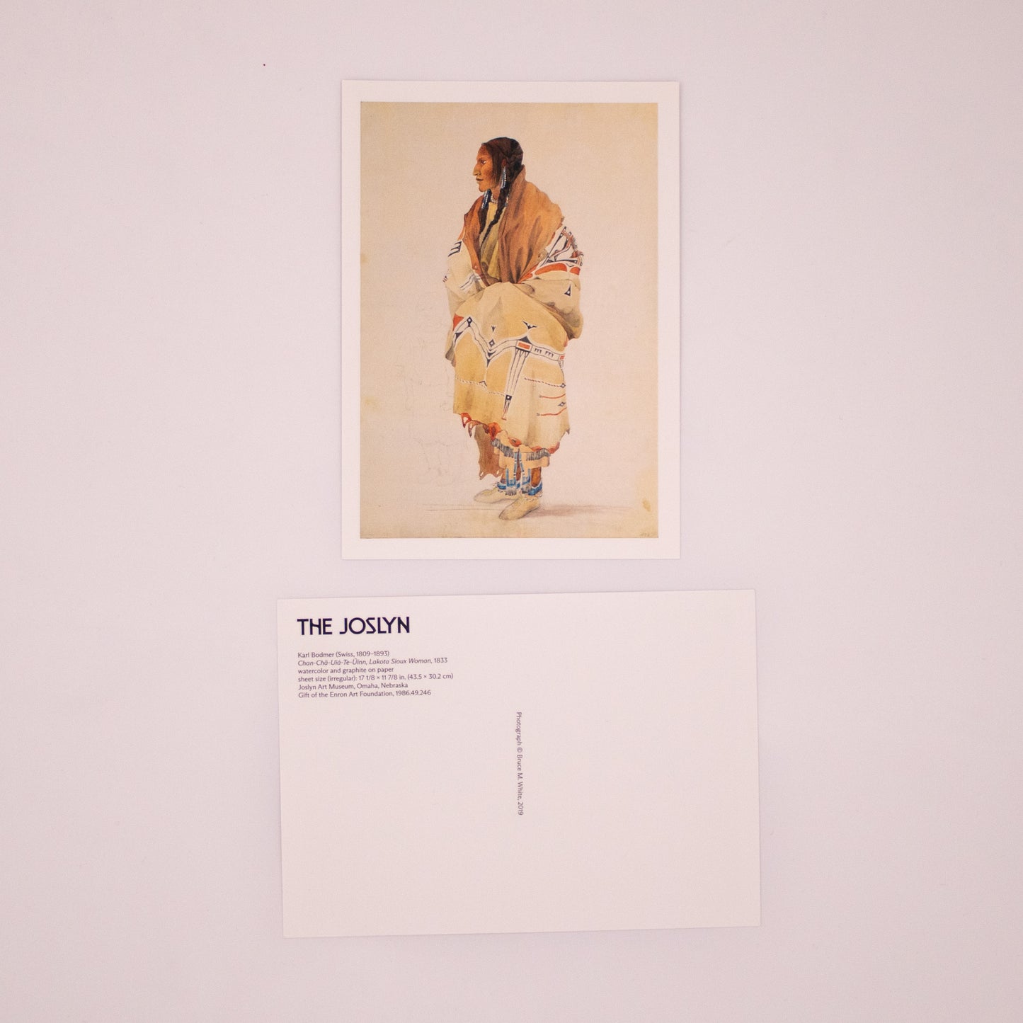 Karl Bodmer - Chan-Cha-Uia-Te-Uinn, Lakota Sioux Woman Postcard