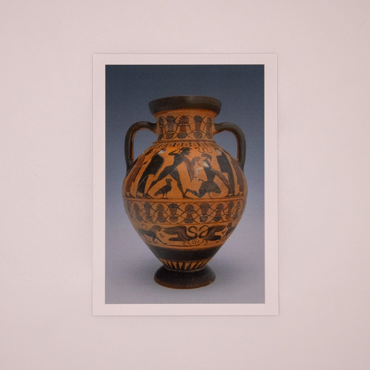 Attributed to Omaha Painter - Greek Black-Figure Ovoid Neck Amphora (Jar) Postcard