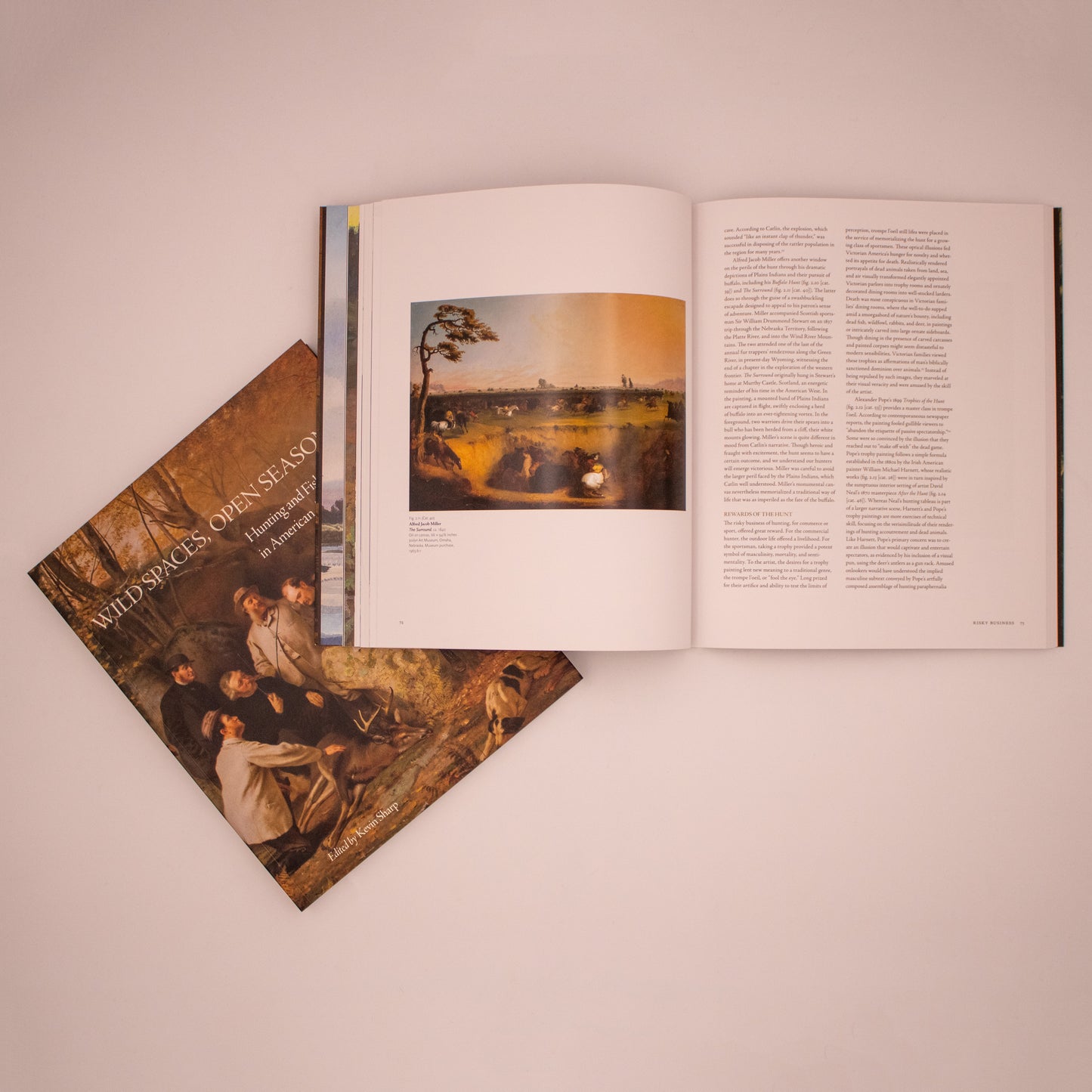 Wild Spaces, Open Seasons: Hunting and Fishing in American Art (paperback)